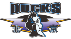 File:4336.png