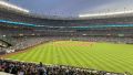 Chicago Cubs at New York Yankees, 2022-06-10
