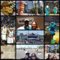 Boston Celtics at Charlotte Hornets, 2016-10-29