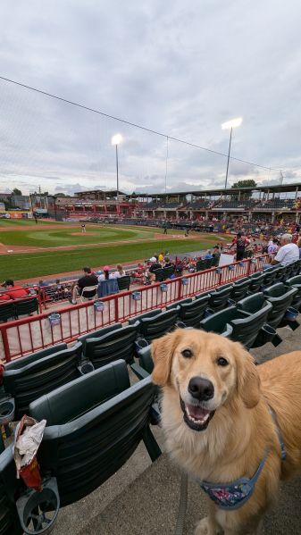 File:UPMC Park 1183.jpg