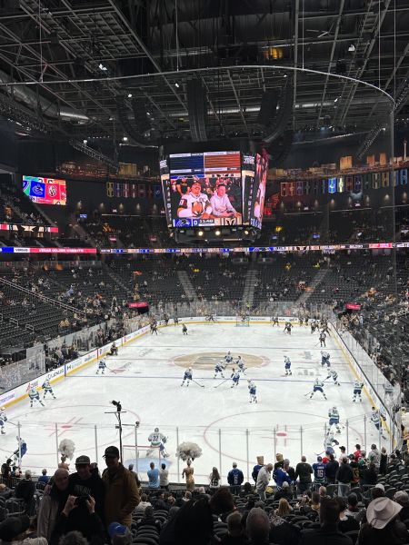 File:T-Mobile Arena 1475.jpg