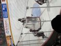 Peterborough Petes at Niagara IceDogs, 2021-10-30